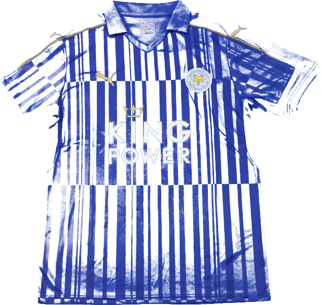 Leicester Local - 16/17
